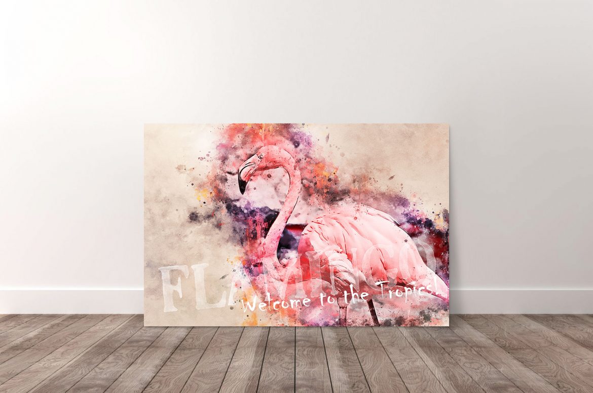 Flamingo